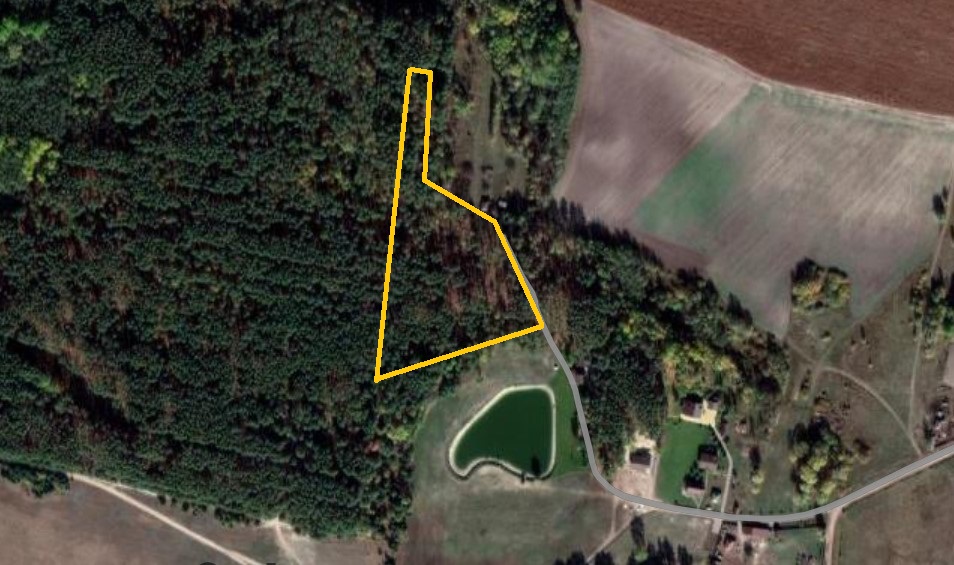 Головний хуторянин країни_13