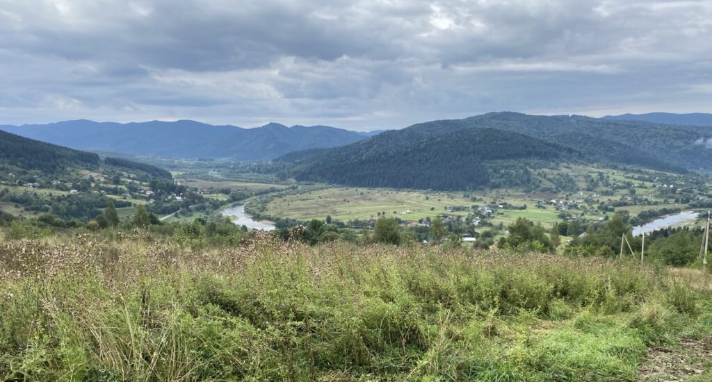 A land plot of two hectares within Novyi Kropyvnyk, which features in Kavetskyi’s case, and the panoramic view from it (a photo by NGL.media)